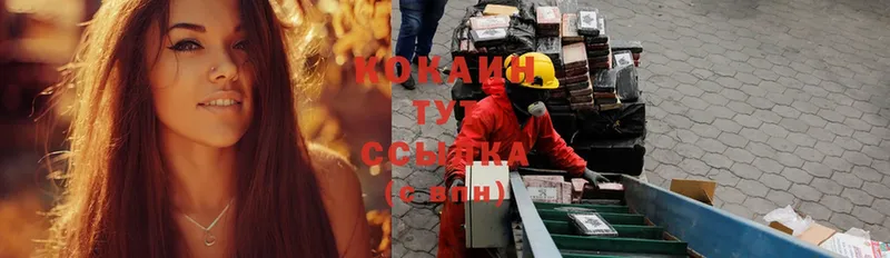 закладка  Новодвинск  COCAIN Columbia 